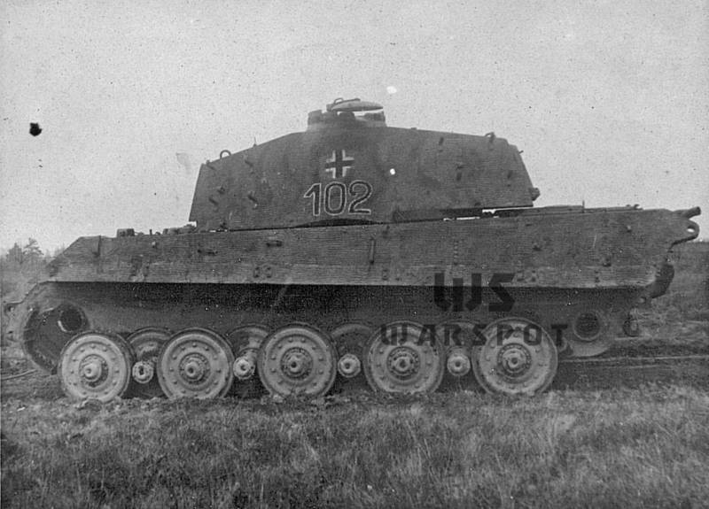 Motivert grusomhet. Den triste opplevelser av tiger i Kubinka